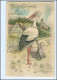 XX12546/ Storch Mit Baby Litho Prägedruck AK 1910 Geburt  - Nascite