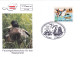 Austria / Oesterreich 2001 DUCKS X3 COVERS FDC - Entenvögel