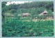 Korean Folk Vilage - A Taro Field And A Watchtower - Korea, South