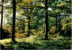 20-3-2024 (3 Y 31) France  (posted 1976) Forêt De Senart  - Retour A L'Envoyeur (RTS) - Bäume
