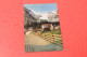 Aosta Courmayeur Chalet Purtud 1913 Ed. Alaria - Aosta