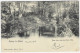 HABAY-LA-NEUVE : Un Sous-bois Près Du Pont D'Oie - 1905 - Habay