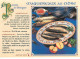 Delcampe - RECETTES DE CUISINE   - LOT DE 102 CARTES POSTALES SEMI-MODERNES - 100 - 499 Cartes