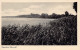 Arendsee (Altmark) - Panorama - Salzwedel