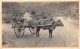 Philippines - Filipina Lady And Carabao - REAL PHOTO - Publ. Unknown  - Filippine