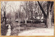 04444 / ⭐ ◉ Rare L'ISLE-sur-TARN Champ De FOIRE Jour Marché 1916 De CASSANHOL à MUSSO Toulouse-Tarnaise POUX 323 Lisle - Lisle Sur Tarn