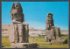 127363/ KÔM EL-HETTAN, Colossi Of Memnon - Louxor