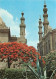 Egypte - The Citadel - Sulan Hassan And El Rifai Mosques - Carte Neuve - CPM - Voir Scans Recto-Verso - Sonstige & Ohne Zuordnung