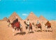 Egypte - Gizeh - Giza - Arab Camelriders In Front Of The Pyramids - Chamelier - Chameaux - Carte Neuve - CPM - Voir Scan - Guiza