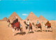 Egypte - Gizeh - Giza - Arab Camelriders In Front Of The Pyramids - Chamelier - Chameaux - Carte Neuve - CPM - Voir Scan - Gizeh