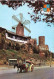 ESPAGNE - Palma De Mallorca - Paseo Maritimo - Viejos Molinos - Carte Postale - Palma De Mallorca