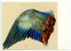 Germany 1996 Uprated 20pf. Albrecht Dürer Postal Card - Bird's Wing; Wiesbaden Cancel - Cartoline Illustrate - Usati