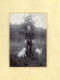 1907. Kováts Béla Hadnegy A Kutyáival, Régi Fotó, Hátoldalon, Szép Szerelmes Levél. Képméret 16*12 Cm - Old (before 1900)