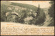 Ansichtskarte Kipsdorf-Altenberg (Erzgebirge) Hotel Halali, Villa Flora 1901 - Kipsdorf