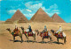 Egypte - Gizeh - Giza - Camel Caravan - Chamelier - Chameaux - Voir Timbre - Etat Pli Visible - CPM - Voir Scans Recto-V - Guiza