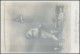 Y16044/ Junge  Schinken  Spielzeug 1. Weltkrieg Foto AK 1918 - Games & Toys