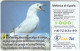 SPAIN A-425 Chip CabiTel - Animal, Bird, Seagull - Used - Basisausgaben