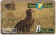 SPAIN A-502 Chip CabiTel - Animal, Bird, Vulture - Used - Emissions Basiques