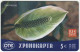 GREECE D-895 Prepaid OTE - Plant, Flower - Used - Griechenland