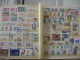 Delcampe - Collection France Environ 180 Euros: Timbres Neufs ** - Collections (with Albums)