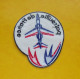 TISSU PATCH : PATROUILLE DE FRANCE  , DIAMETRE 9 CM , BON ETAT VOIR PHOTO . POUR TOUT RENSEIGNEMENT ME CONTACTER. REGARD - Patches