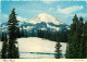 Etats Unis - Mount Rainier - CPM - Voir Scans Recto-Verso - Other & Unclassified
