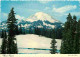 Etats Unis - Mount Rainier - CPM - Voir Scans Recto-Verso - Sonstige & Ohne Zuordnung