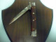 Delcampe - SWINGUARD-Frank Beltrame -italian Stiletto- 28cm - Impugnatura Di Legno Di Cocobolo, Lama Dagger- Modello FB 550/83D - 1 - Armes Blanches