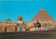 Egypte - Gizeh - Giza - The Great Sphinx And Kheireh Pyramid - Les Pyramides Et Le Sphinx - Chamelier - Chameaux - Carte - Guiza