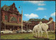 Groningen - Station Met "Peerd Van Ome - Loeke" 1962   (paard, Horse) - Groningen