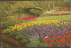 Lisse - Keukenhof - 1967 - Lisse