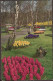 Lisse - Keukenhof - 1962 - Bloemen- Flowers - Lisse