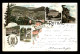 67 - ROTHAU - CARTE LITHOGRAPHIQUE GRUSS  - Rothau