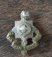 Insigne De Casquette Du Royal Sussex WW2 Royal Sussex Regiment - 1939-45