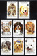 Grenadines De Saint Vincent  Année Chinoise Du Chien  MNH ** GRANDES SÉRIES - - Honden