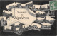 18-LIGNIERES- SOUVENIR MULTIVUES - Other & Unclassified