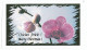 COV 22 - 1206-a ORCHIDS + Greeting Card, Romania - Cover - Used - 2004 - Maximum Cards & Covers
