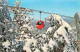 Etats Unis - Warren - A Gondola Passes By Nature's Winter's Magic - Sugarbush Valley Ski Area - CPM - Voir Scans Recto-V - Otros & Sin Clasificación