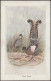 Neville Cayley - Lyre Birds, C.1905-10 - Postcard - Birds