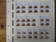 Delcampe - Südafrika 1100-4 Vögel Tiere Spezial Lot Mit Blöcken Der Verschied. Druck Papier - Brieven En Documenten