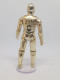 Starwars - Figurine C-3PO Démontable - Premiera Aparición (1977 – 1985)