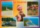 17 - Les Mathes - La Palmyre - Multivues - Fleurs - Flamants Roses - CPM - Voir Scans Recto-Verso - Les Mathes