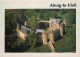 18 - Ainay Le Vieil - Le Château - Vue Aérienne - CPM - Voir Scans Recto-Verso - Ainay-le-Vieil