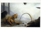 TIGRE Animales Vintage Tarjeta Postal CPSM #PBS031.A - Tiger