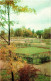 Lomonosov - Lower Park View - 1978 - Russia USSR - Unused - Rusia