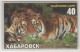 RUSSIA - Chabarovsk Tiger, 40 U, Tirage 4.000, Used, Real Exiton Card, Fake Sticker Overprint - Russland