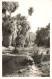 ETATS UNIS - In Palm Canyon - Carte Postale Ancienne - Other & Unclassified