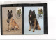 TEM19924 - FDC   24.5.1986  - RAZZE CANINE BELGHE    -CAT.UNIFICATO 2213/2216 - MICHEL  2265/2268 - Honden