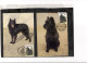 TEM19924 - FDC   24.5.1986  - RAZZE CANINE BELGHE    -CAT.UNIFICATO 2213/2216 - MICHEL  2265/2268 - Honden