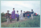 Korean Traditional "marriage Ceremony" - Corée Du Sud